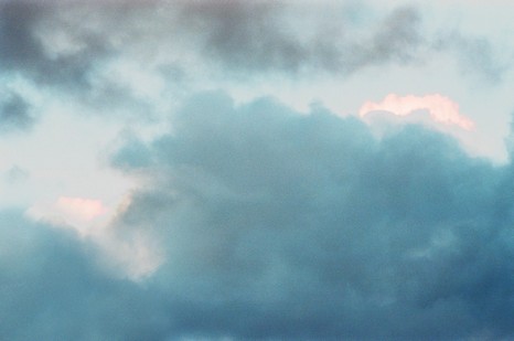 Heuschnitter unter Wolken - Foto 88