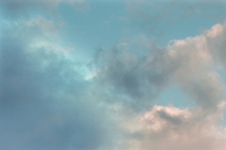 Heuschnitter unter Wolken - Foto 89