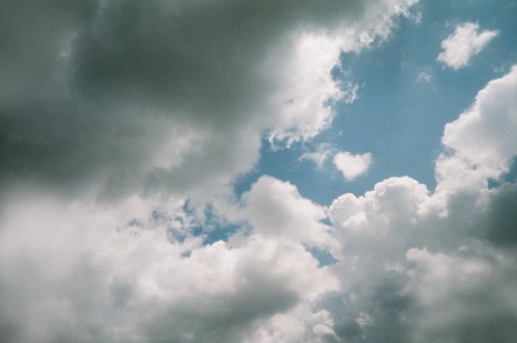 Heuschnitter unter Wolken - Foto 90
