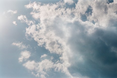 Heuschnitter unter Wolken - Foto 91